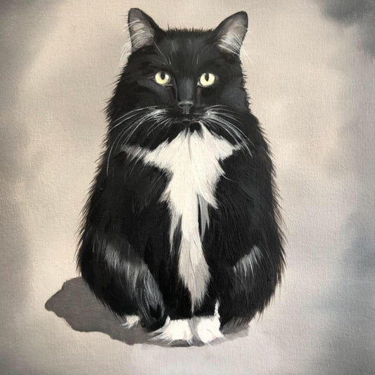 Pet Portrait