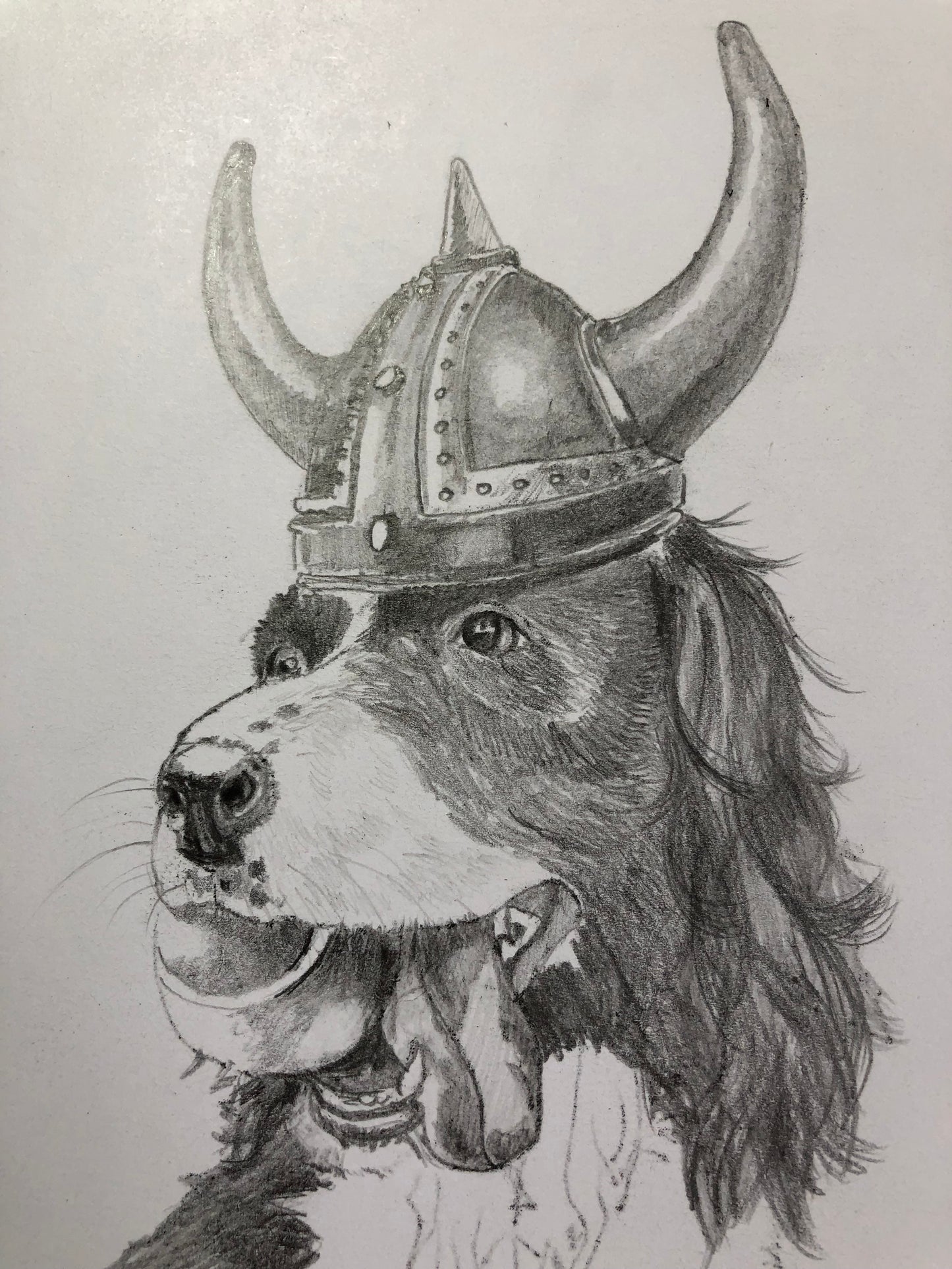 Pet Portrait