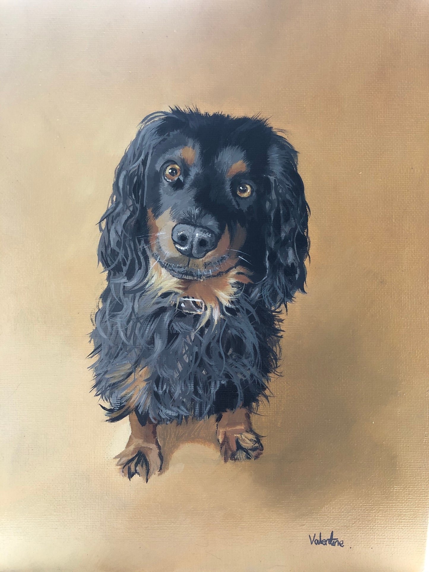 Pet Portrait