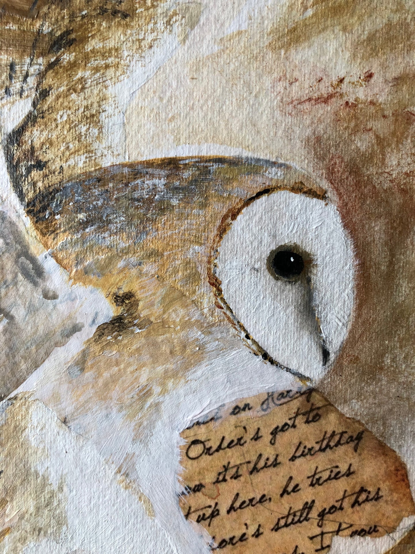 Barn Owl Wall Art - The Silent Messenger