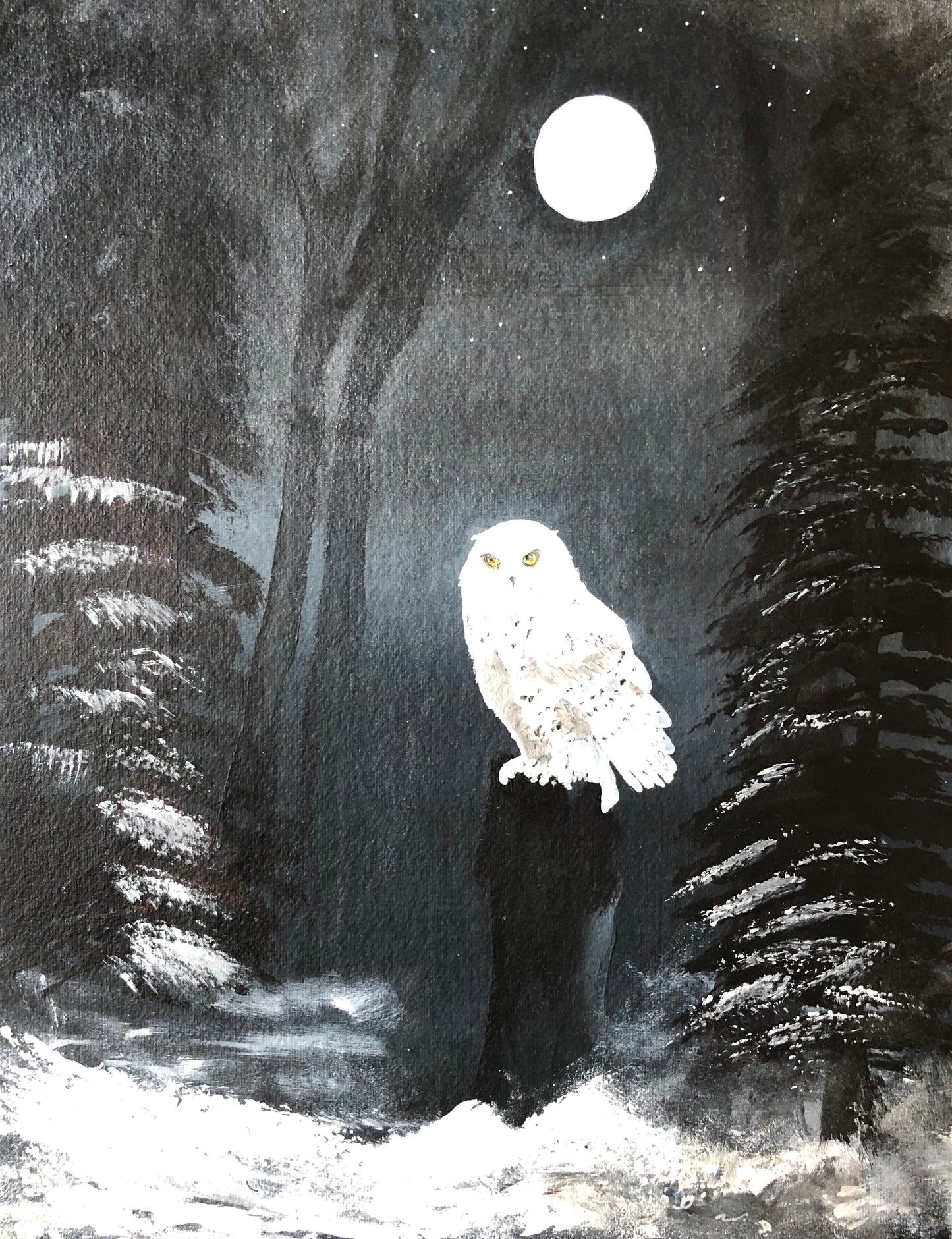 Snowy Owl Wall Art - The Night Watch Owl