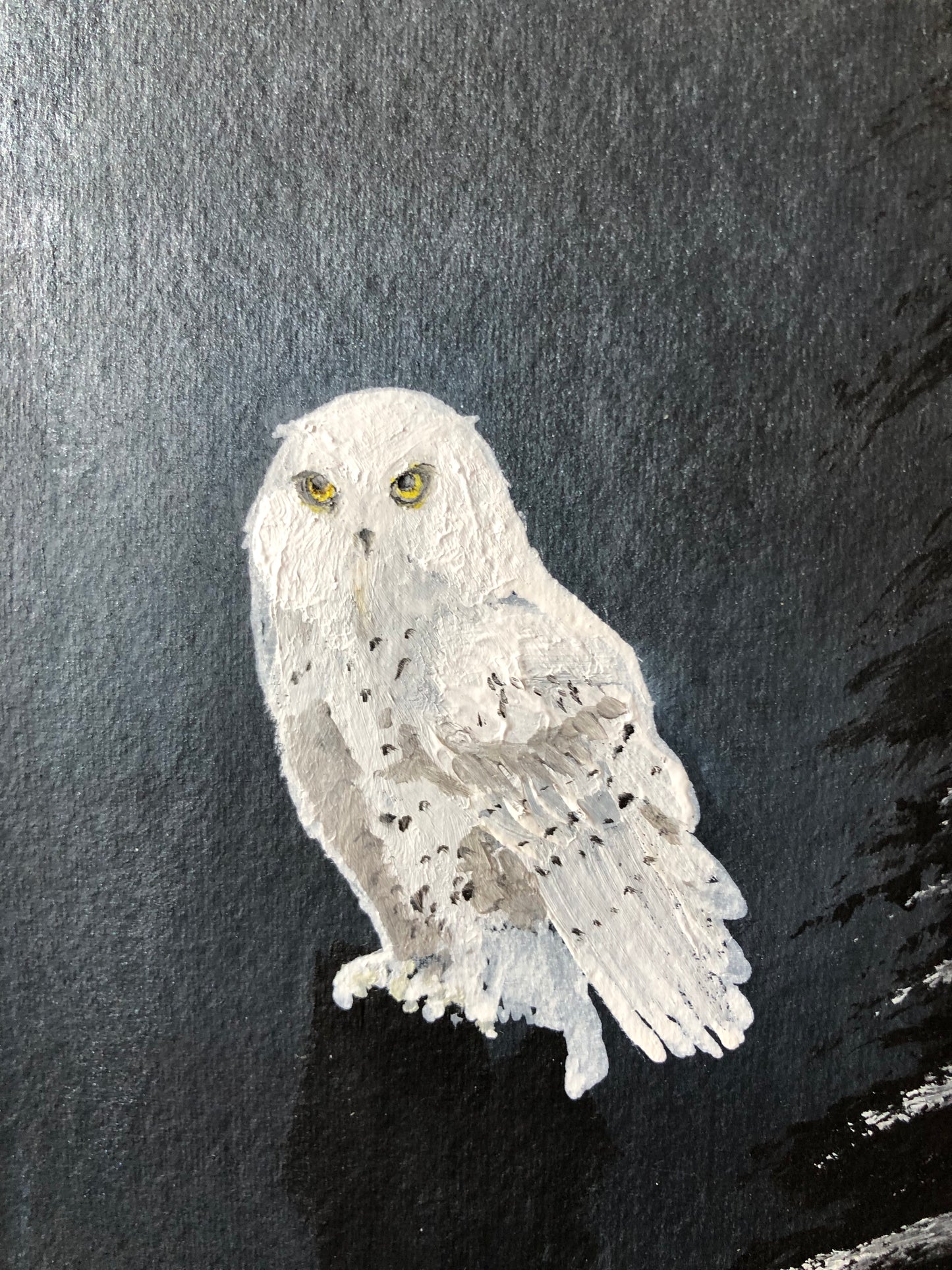 Snowy Owl Wall Art - The Night Watch Owl