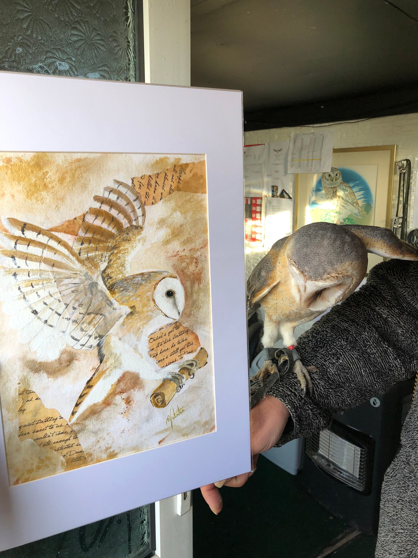 Barn Owl Wall Art - The Silent Messenger